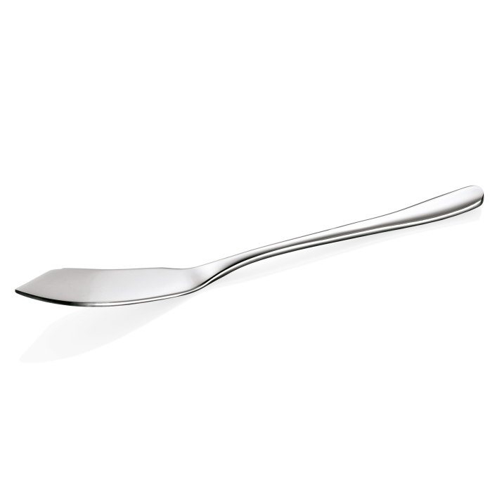 Fischmesser Liselle, CNS