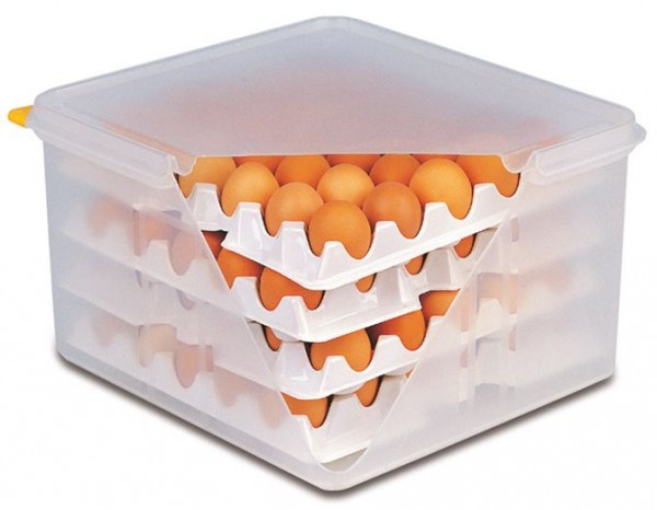 10 Lagen zu Eier-Box