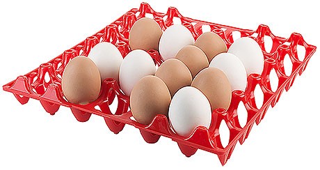 Tablett für 30 Eier, rot